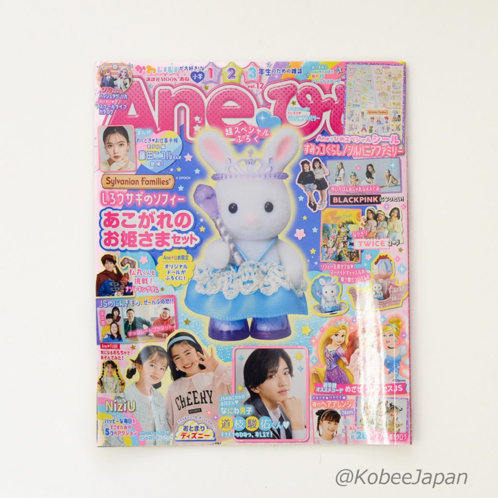 Anehime White Rabbit Princess Set Book 2022 MOOK