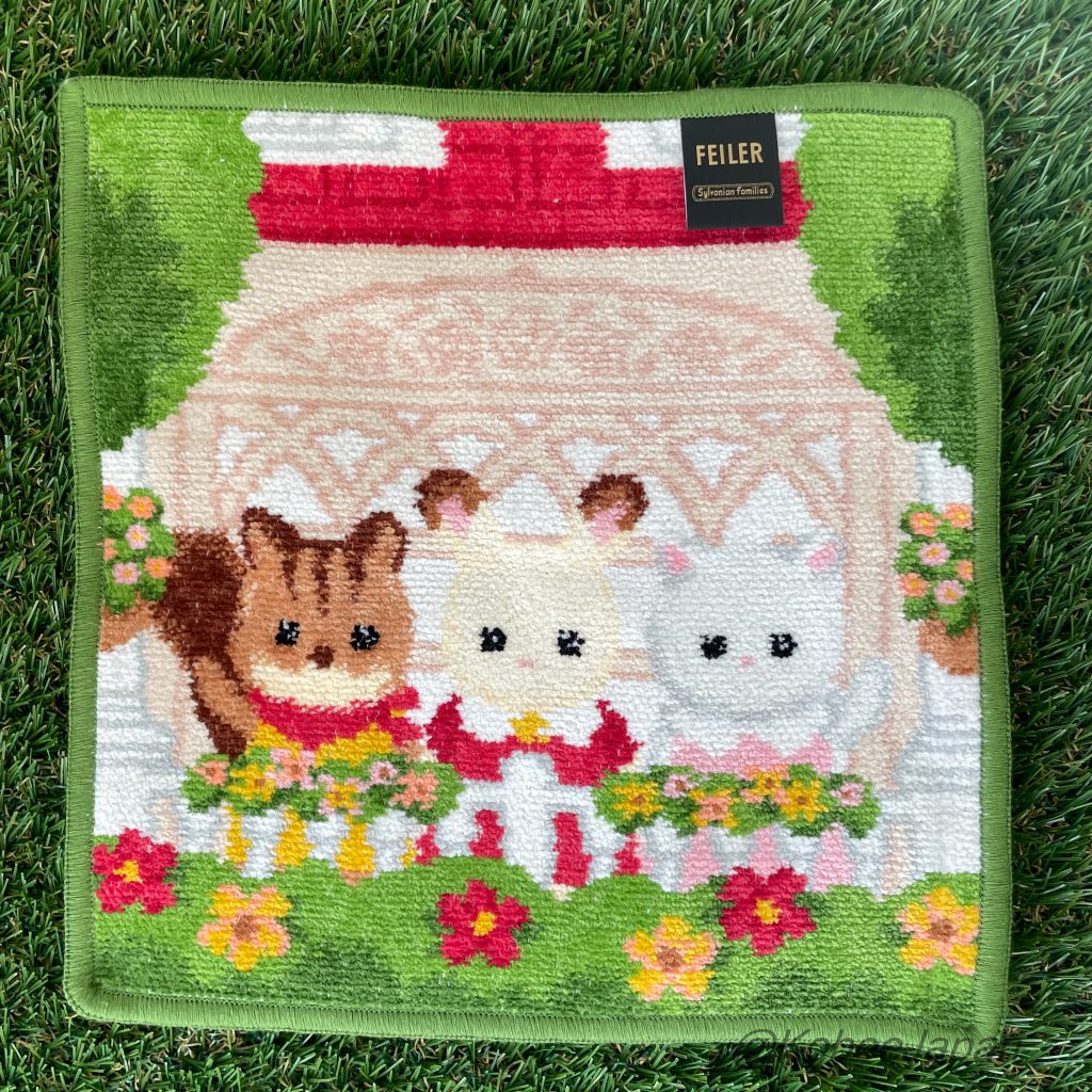 Hand Towel 25cmx25cm FEILER Japan