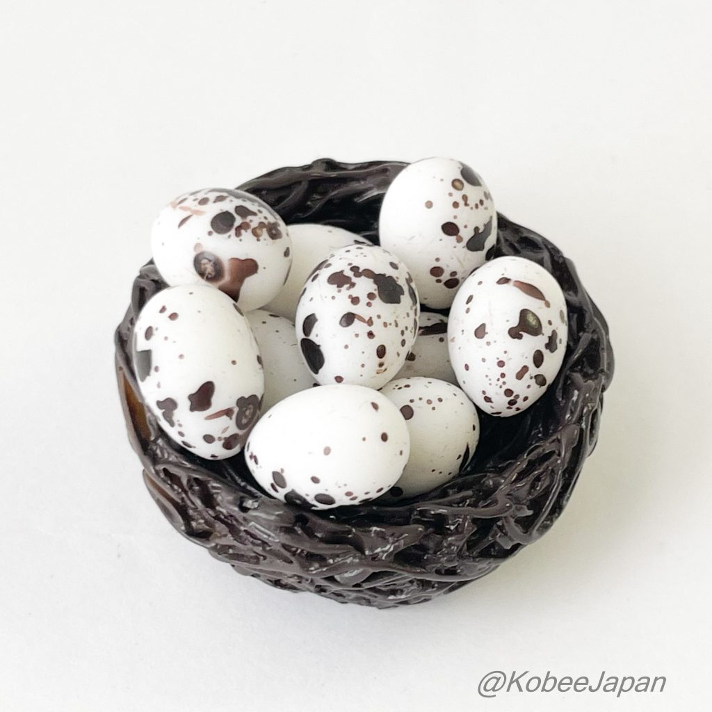 Conjunto de nido y huevos de pájaro en miniatura en blanco y negro