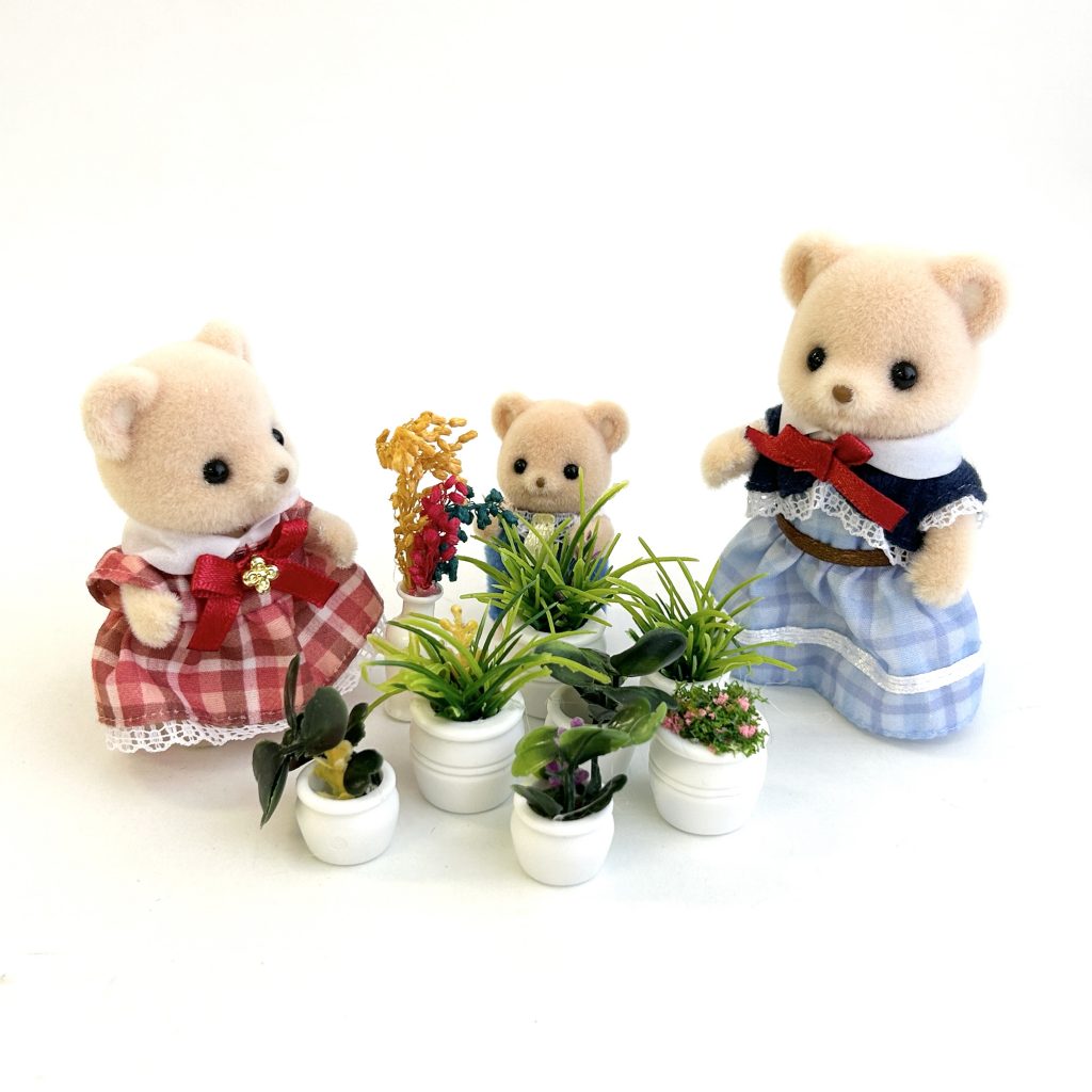 Ensemble de 4 Plantes en Pot 6