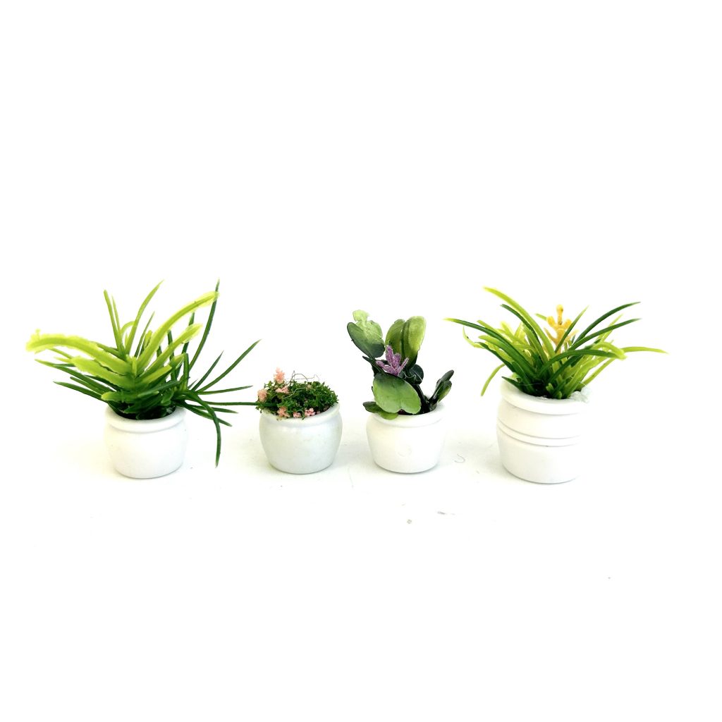 Ensemble de 4 Plantes en Pot 1