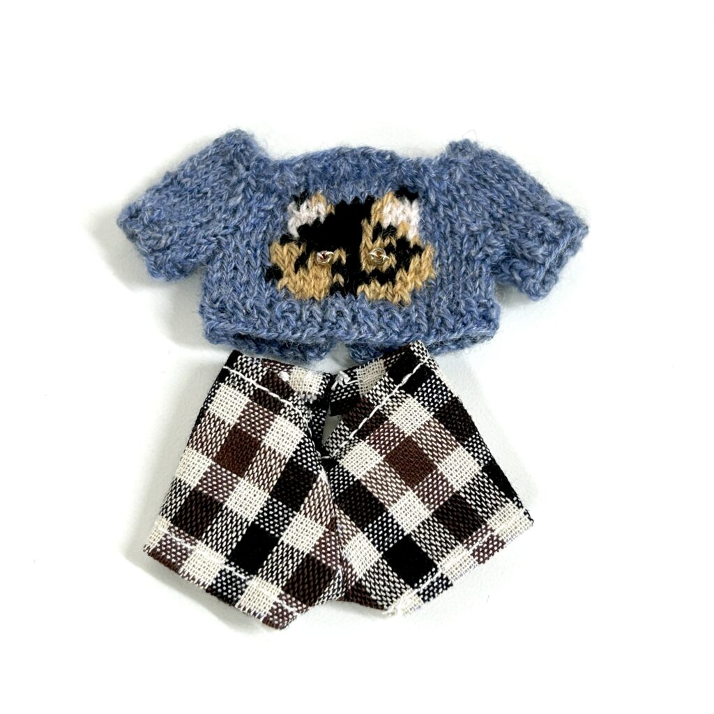 Cat Day Sweater Set Tortoiseshell Cat Handmade