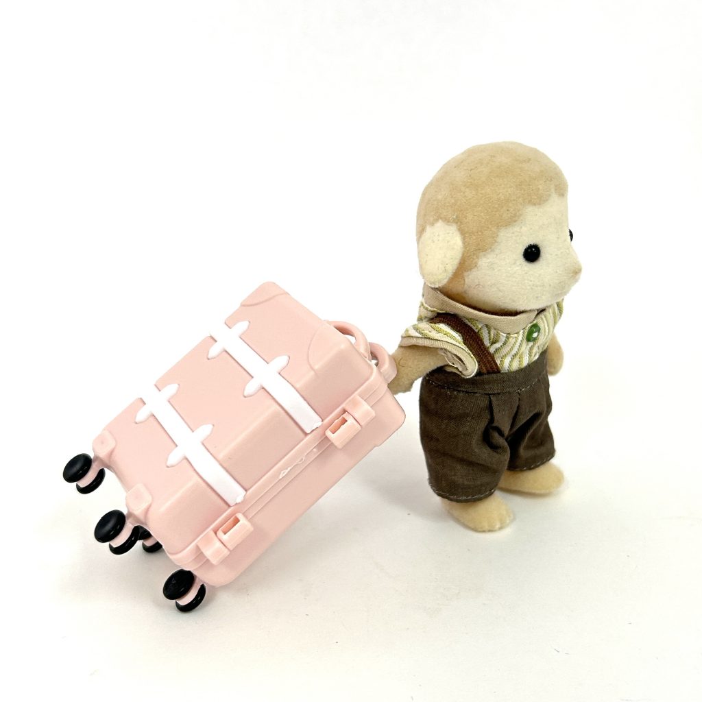 Étui de transport miniature série Rose