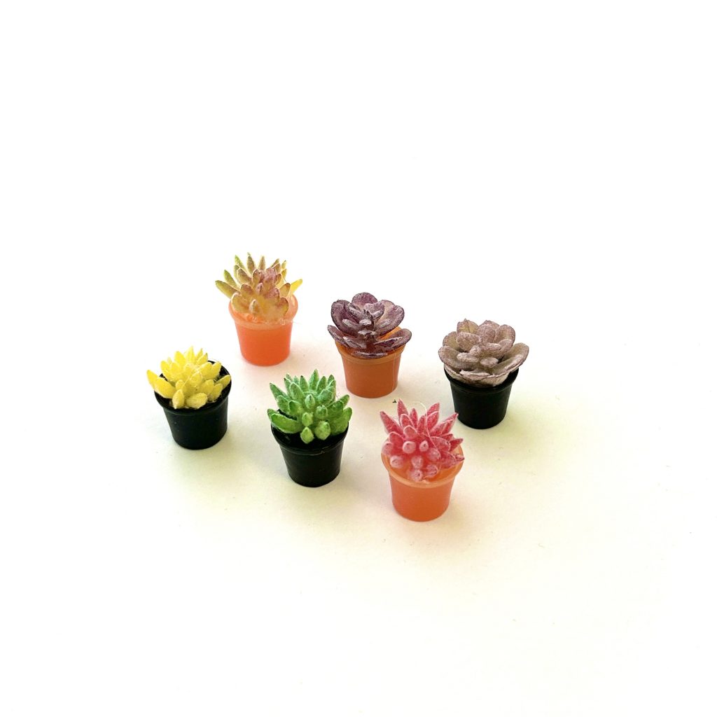 SET OF 6 SUCCULENT PLANT POTS Does not apply