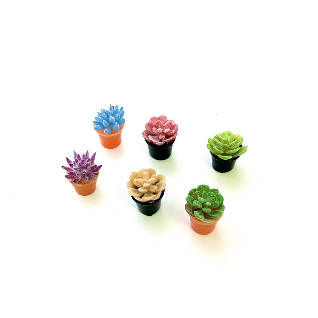 SET OF 6 SUCCULENT PLANT POTS Does not apply
