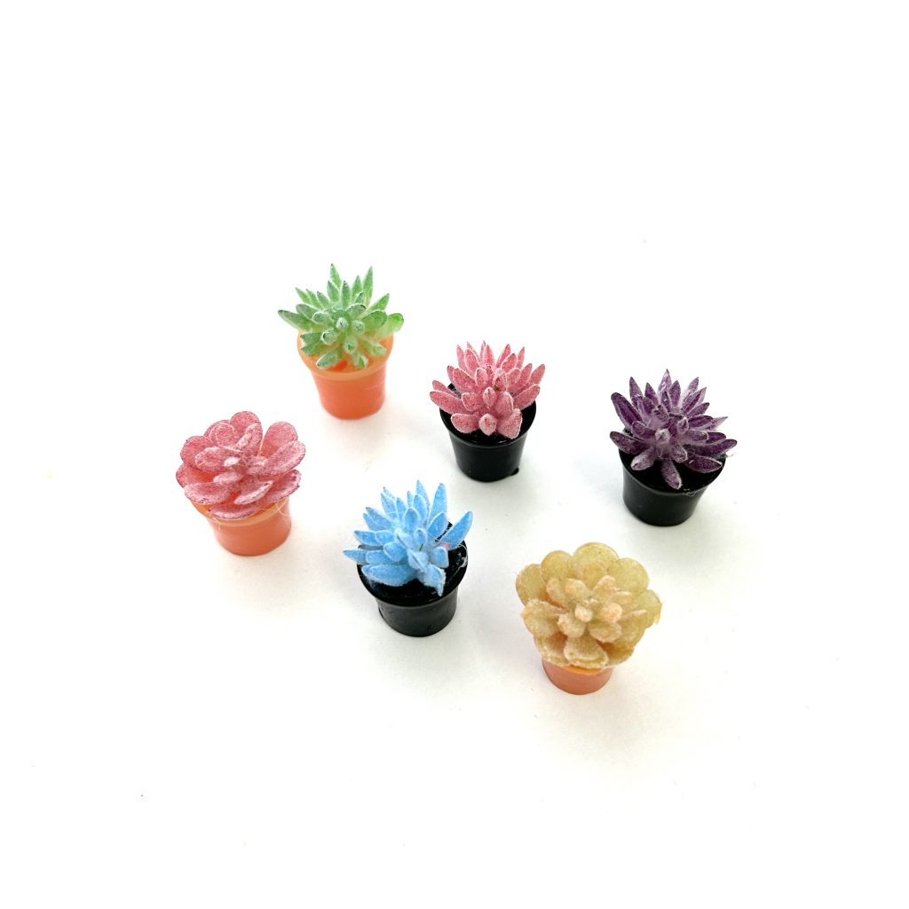 SET OF 6 SUCCULENT PLANT POTS Does not apply