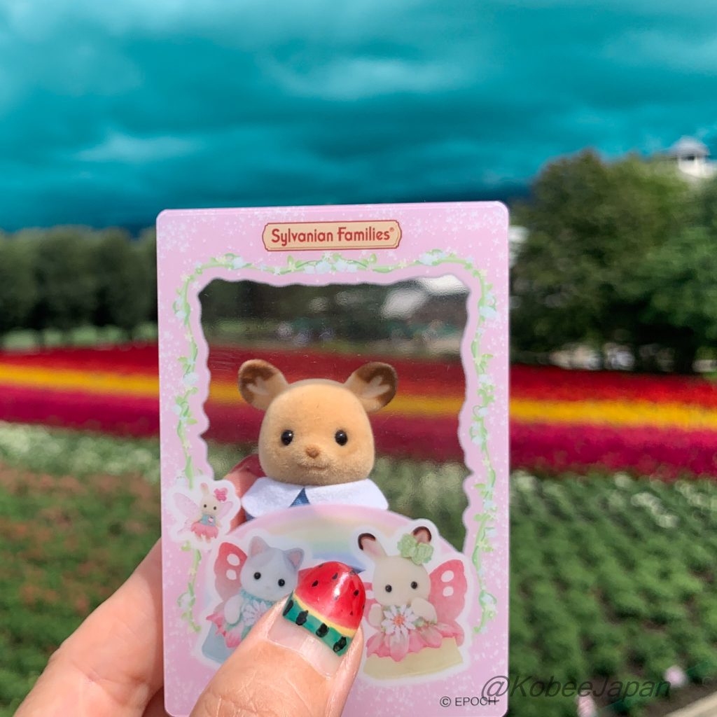Carte de Voyage Claire 1 Chocolat Lapin Latte Fille Chat Familles Sylvanian Calico Critters