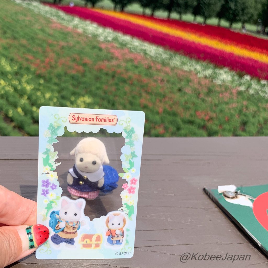 Clear Travel Card 3 Latte Cat Siblings Sylvanian Families Calico Critters