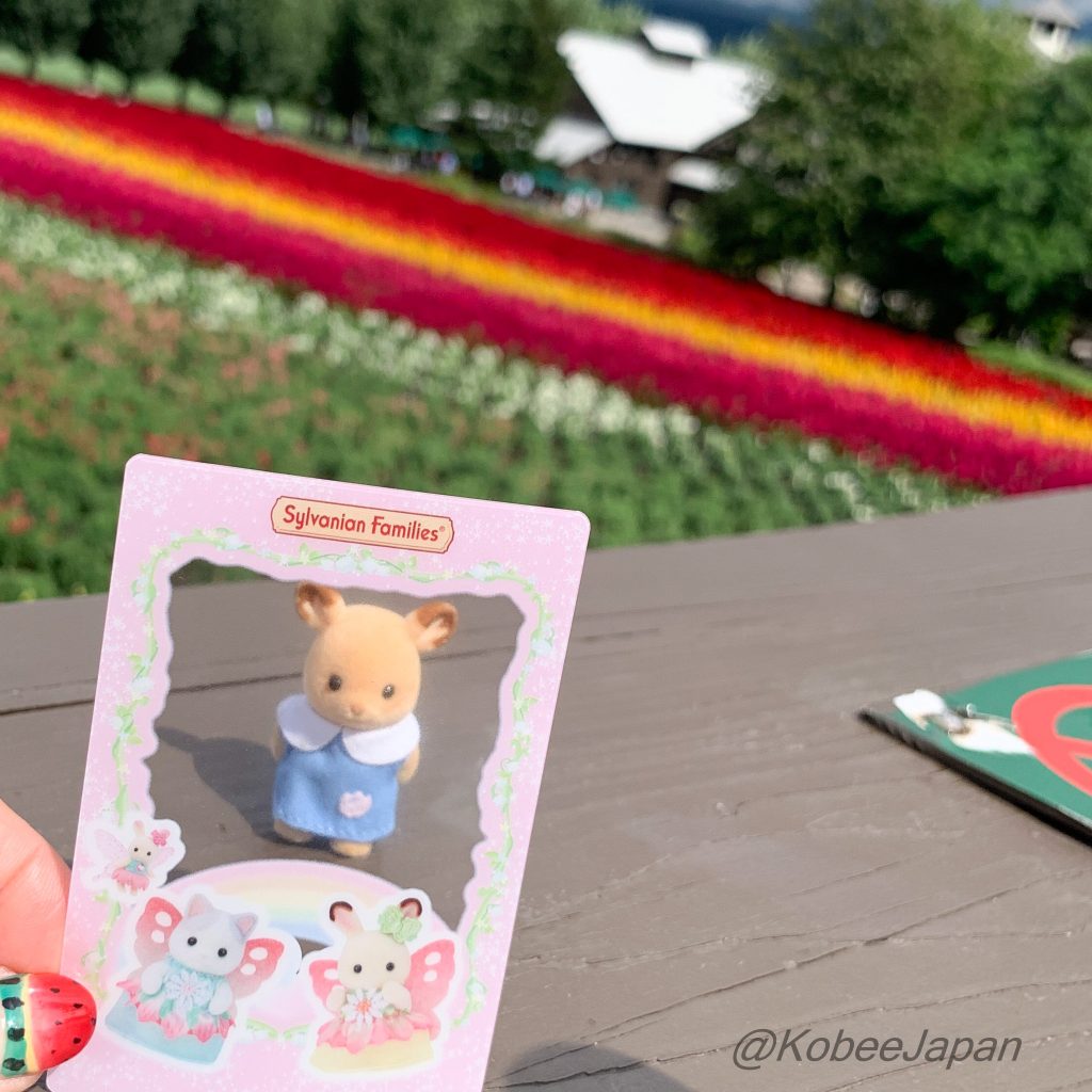 Clear Travel Card 1 Chocolate Rabbit Latte Cat Girl Sylvanian Families Calico Critters