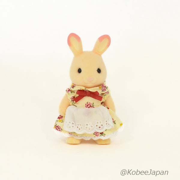 Mère de lapin de fraise rose dans la boîte Japon