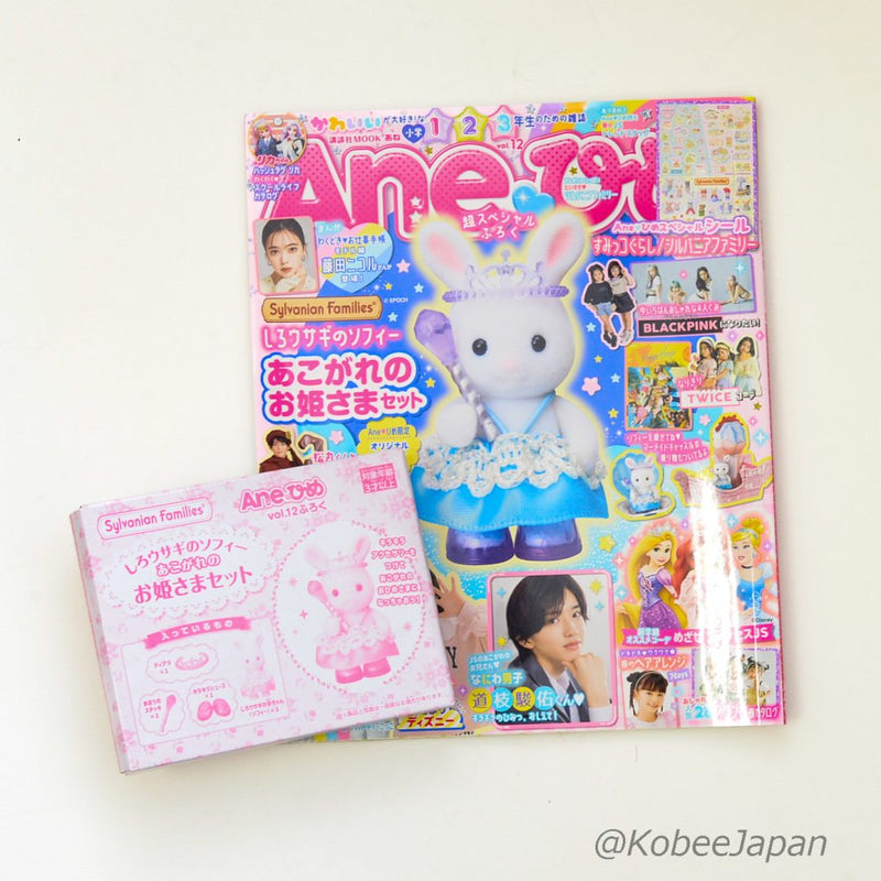 ANEHIME WHITE RABBIT PRINCESS SET BOOK MOOK