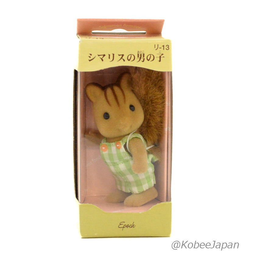 Walnut Squirrel Boy RI-13 Sylvanian Families Calico Critters