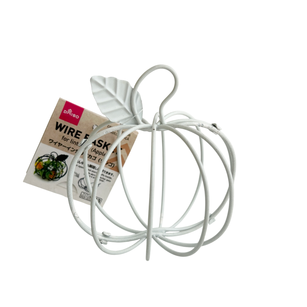 Wire Interior Apple White DAISO