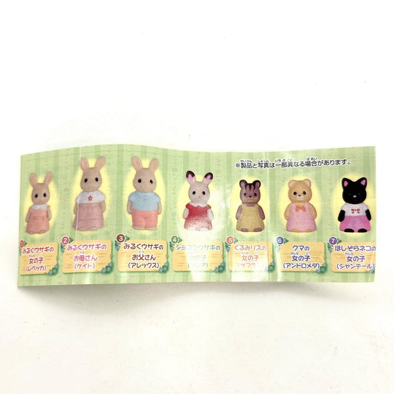 [Used] CAPSULES TOY MINIATURE FIGURE COLLECTION 2 NO.4,6 Set Epoch Sylvanian Families