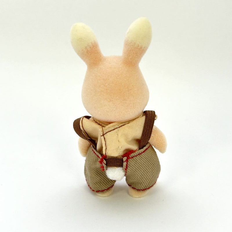 [Used] WILDFLOWER RABBIT BOY Japan Sylvanian Families