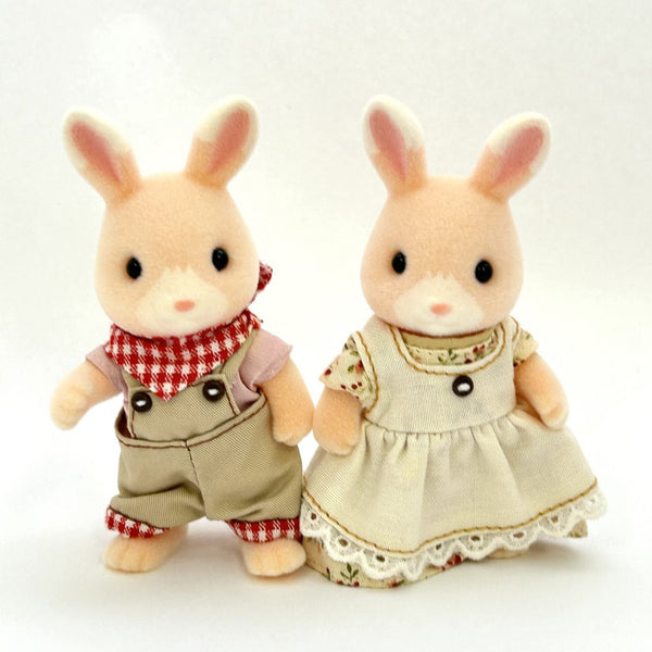 [Used] WILDFLOWER RABBIT FATHER MOTHER Japan Sylvanian Families