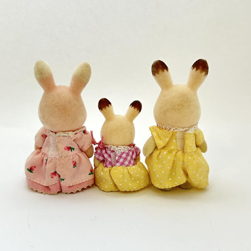 [Used] WILD FLOWER RABBIT CHOCOLATE RABBIT Japan Sylvanian Families