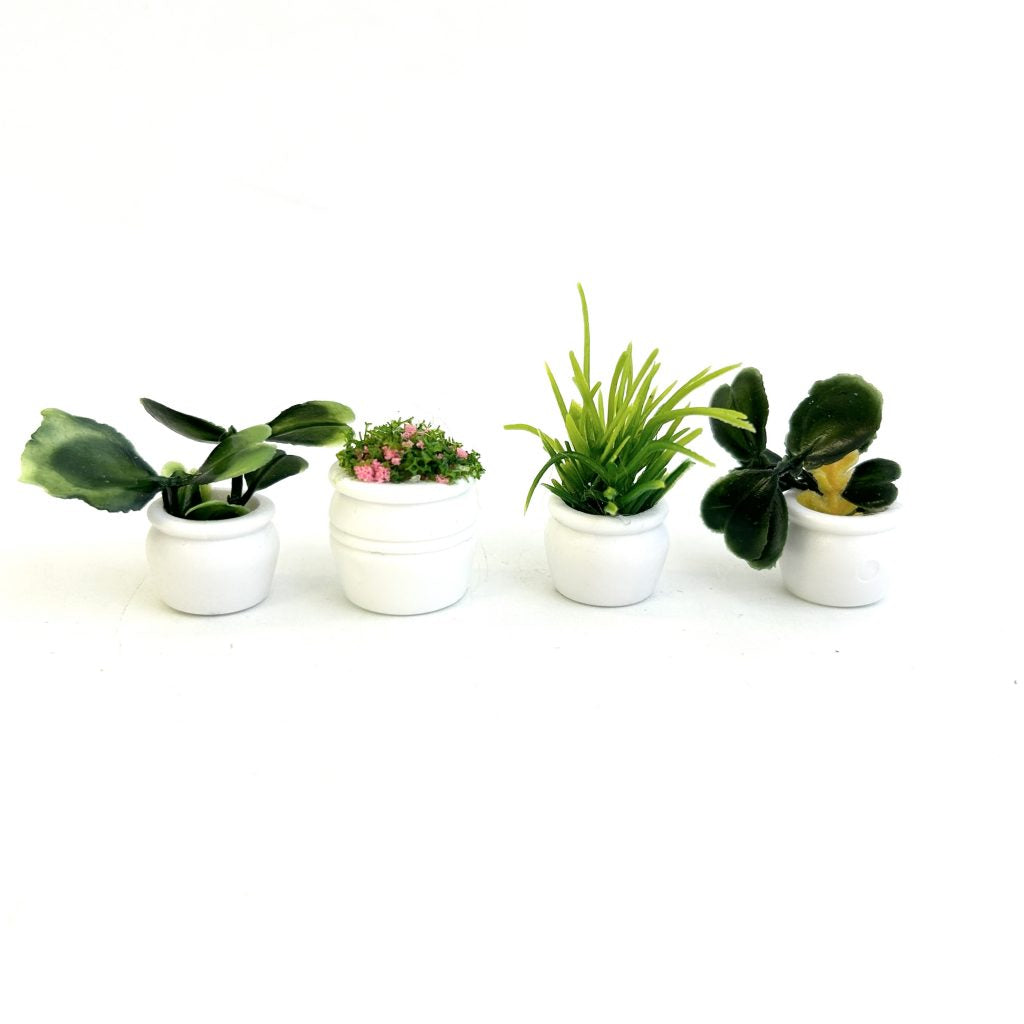 Set of 4 Potted Plants 2