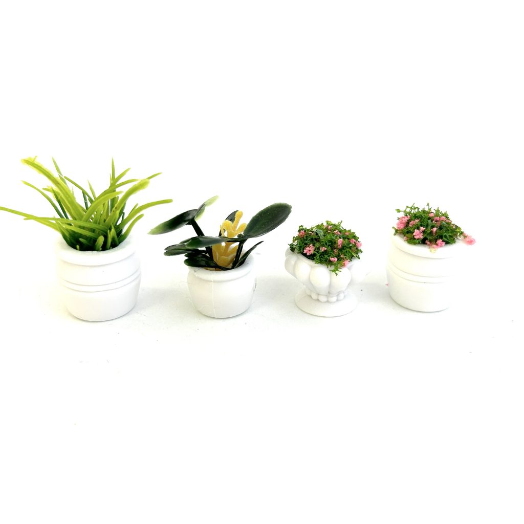 Ensemble de 4 Plantes en Pot 6