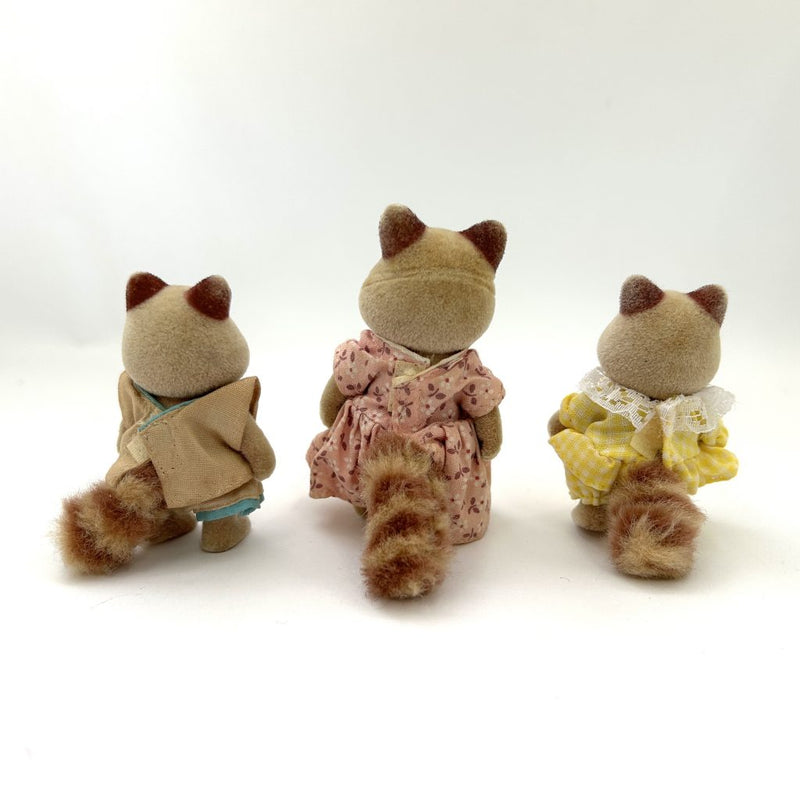 [Used] RACCOON MOTHER GIRL BOY Japan Sylvanian Families