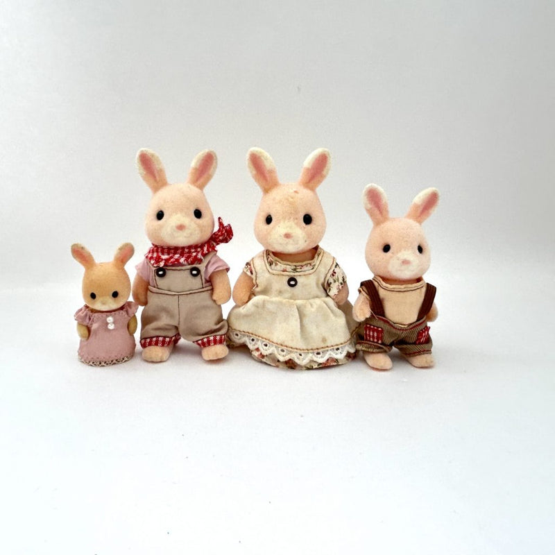 [Used] WILDFLOWER RABBIT FAMILY Nonohana Grinpa Sylvanian Families