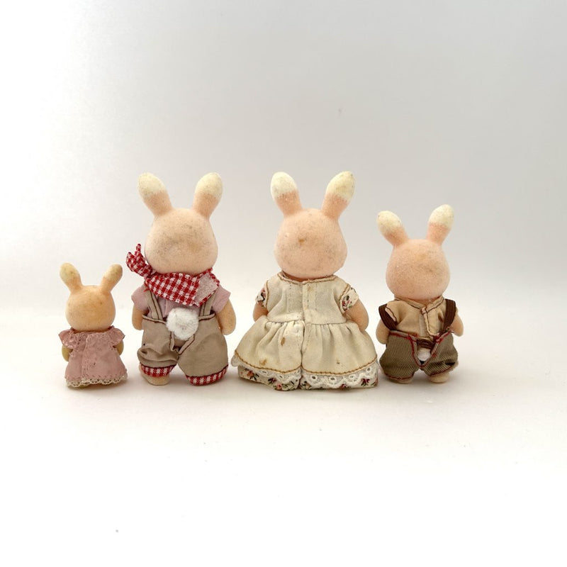 [Used] WILDFLOWER RABBIT FAMILY Nonohana Grinpa Sylvanian Families