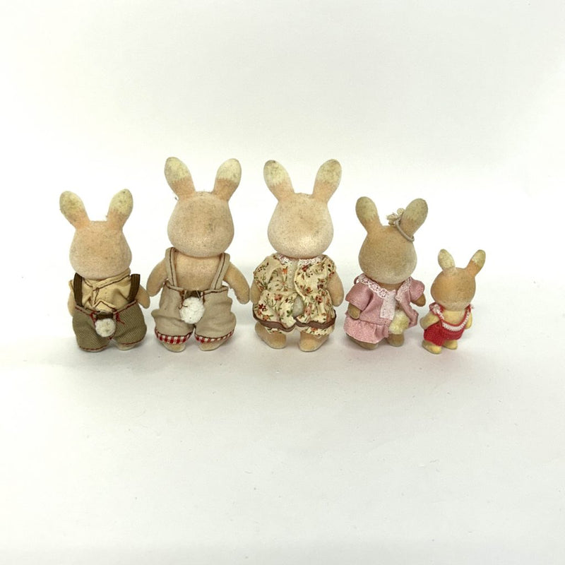 [Used] WILDFLOWER RABBIT FAMILY Nonohana Grinpa Sylvanian Families