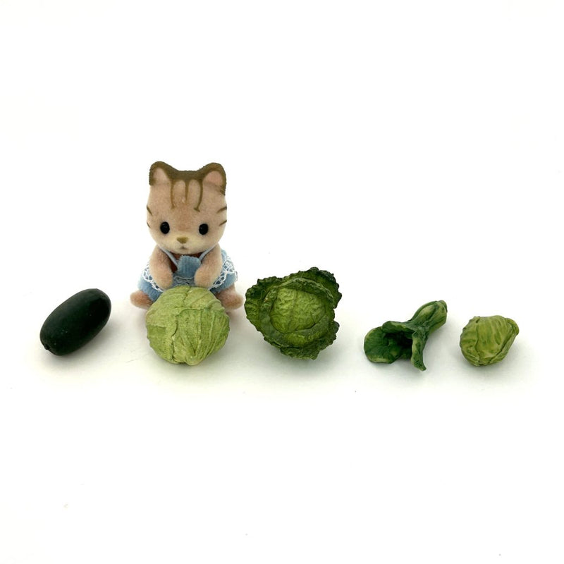 [Used] VEGETABLES SET Japan Does not apply