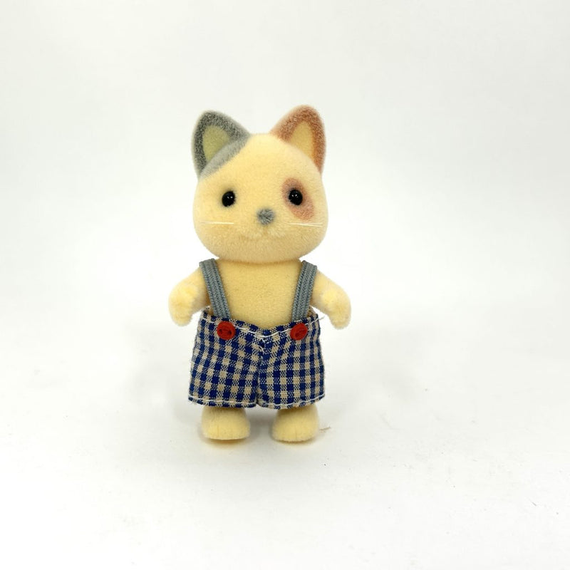 [Used] WHISKERS CAT BOY retired Japan Epoch Sylvanian Families