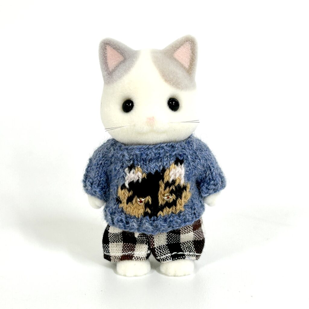 Cat Day Sweater Set Tortoiseshell Cat Handmade