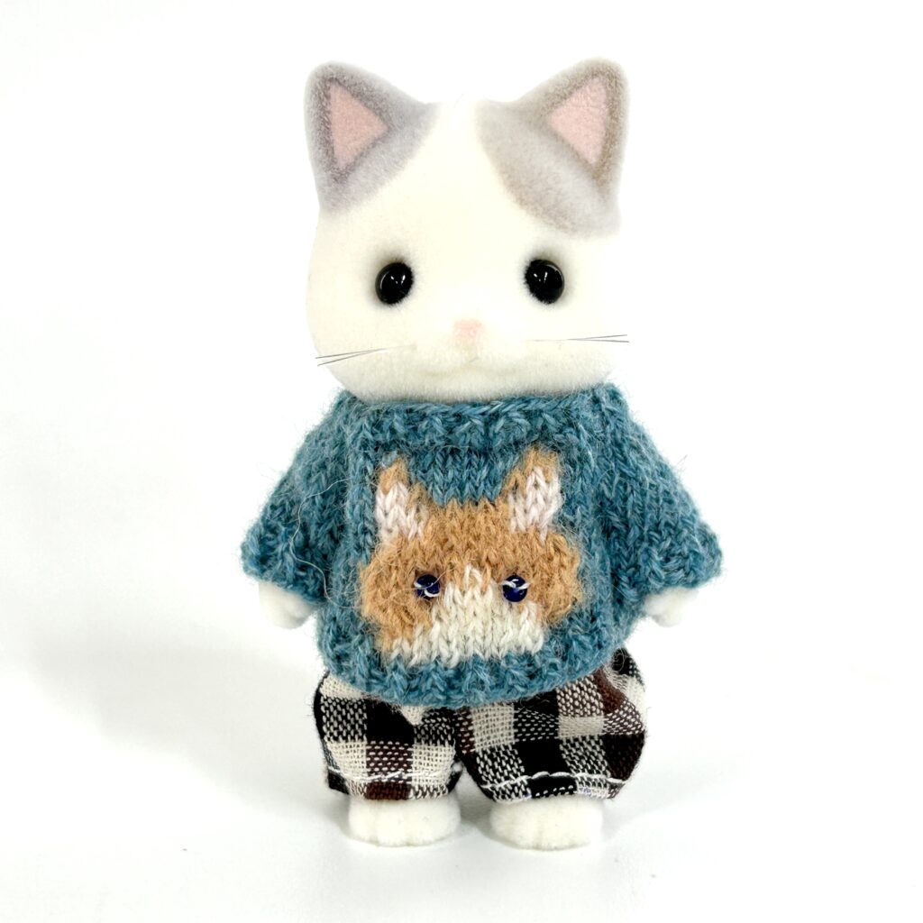 Cat Day Sweater Set Orange Bicolor Cat Blue Eyes Handmade