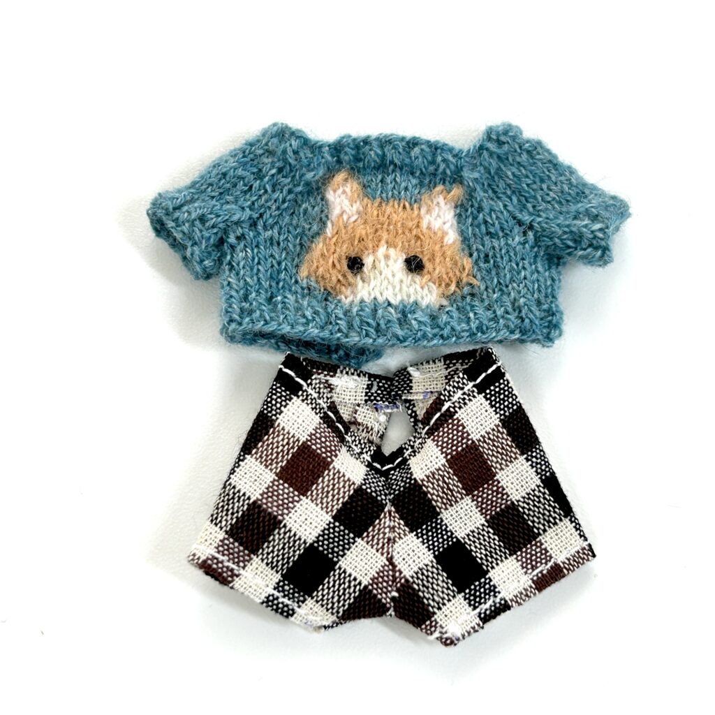 Cat Day Sweater Set Orange Bicolor Cat Black Eyes Handmade